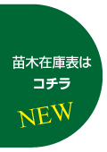 LinkIcon